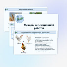 Презентация «Методы селекционной работы» 10 класс (углубленный уровень)