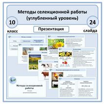 Презентация «Методы селекционной работы» 10 класс (углубленный уровень)