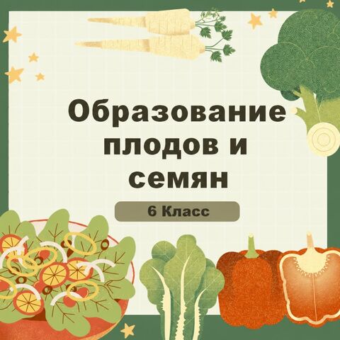 Презентация 