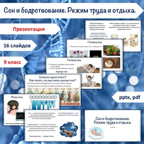 Презентация «Сон и бодрствование. Режим труда и отдыха», 9 класс