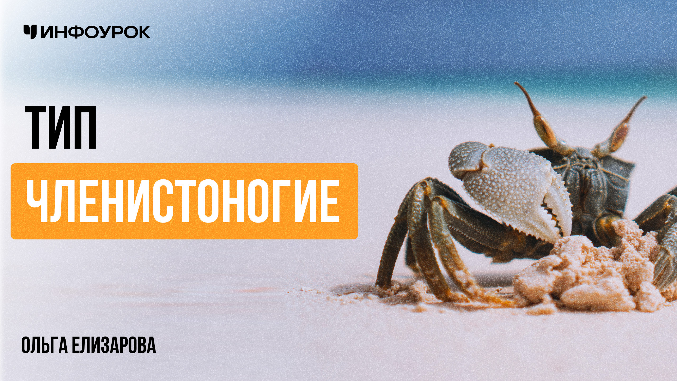Обложка курса