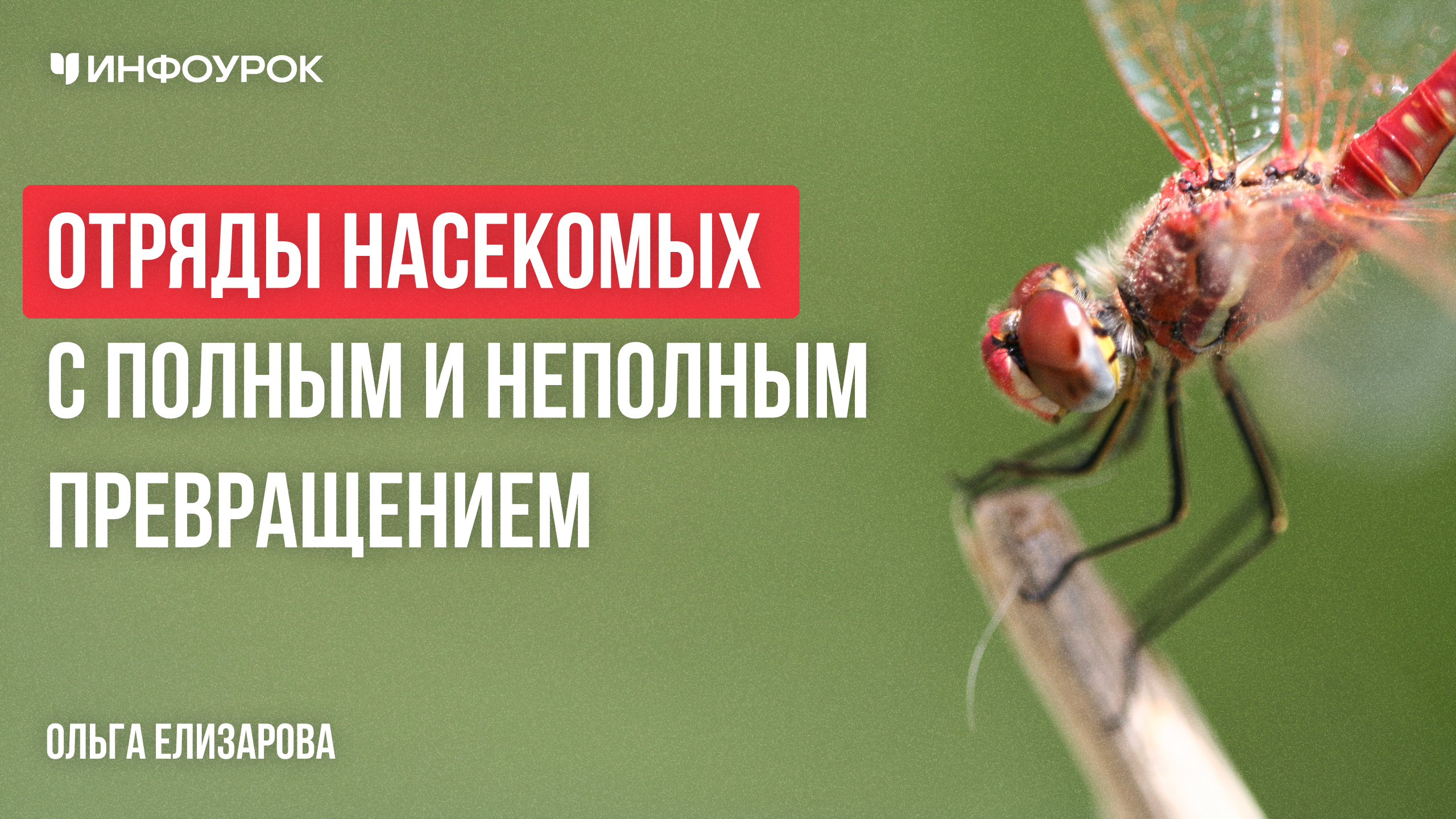 Обложка курса