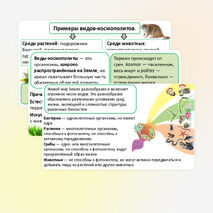 Презентация: «Биология в системе наук» (базовый уровень).