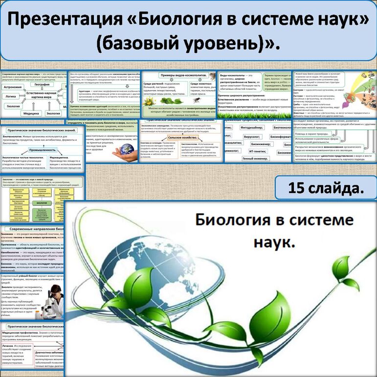 Презентация: «Биология в системе наук» (базовый уровень).