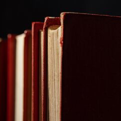 Обложка курса 'Дуализм личности: «Странная история доктора Джекилла и мистера Хайда» и «Повелитель мух»'