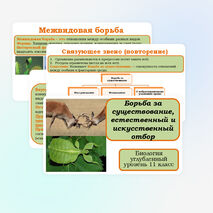 Презентация 