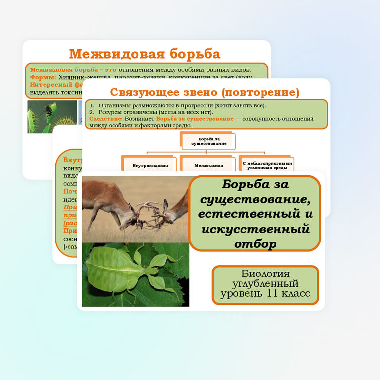 Презентация 