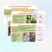 Презентация 