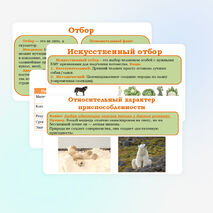 Презентация 