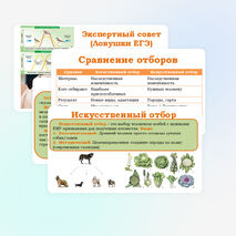 Презентация 
