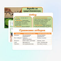 Презентация 