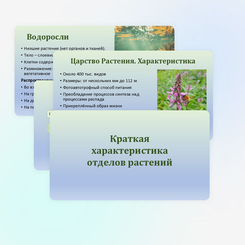 Презентация для подготовки к ОГЭ и ЕГЭ по биологии 