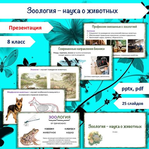 Презентация «Зоология - наука о животных», 8 класс