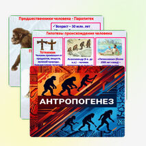 Презентация «Антропогенез». Биология 9 класс.