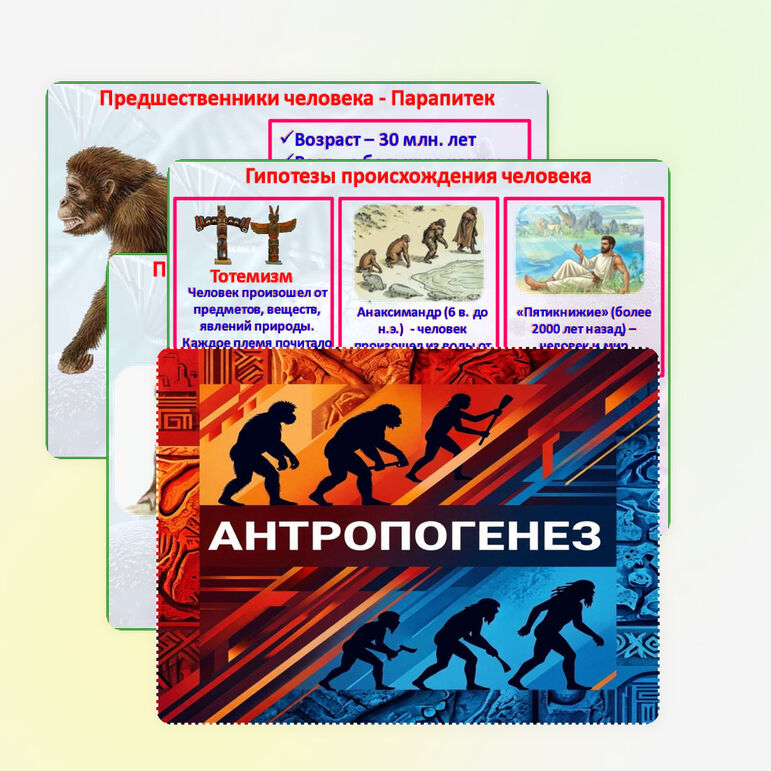 Презентация «Антропогенез». Биология 9 класс.