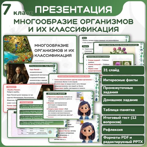 Презентация 