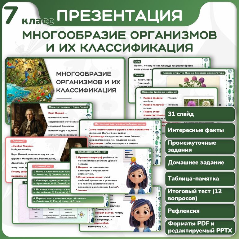 Презентация 