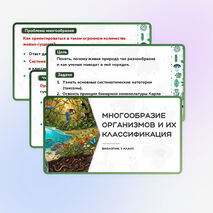 Презентация 
