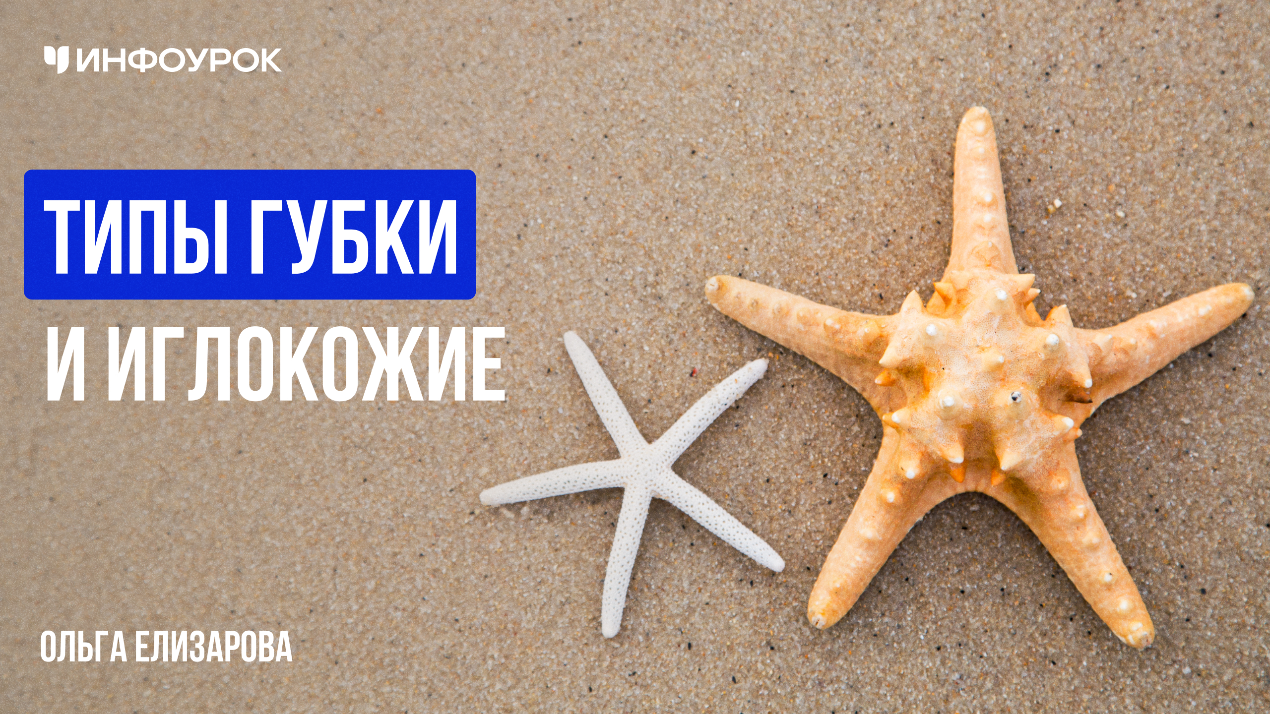 Обложка курса