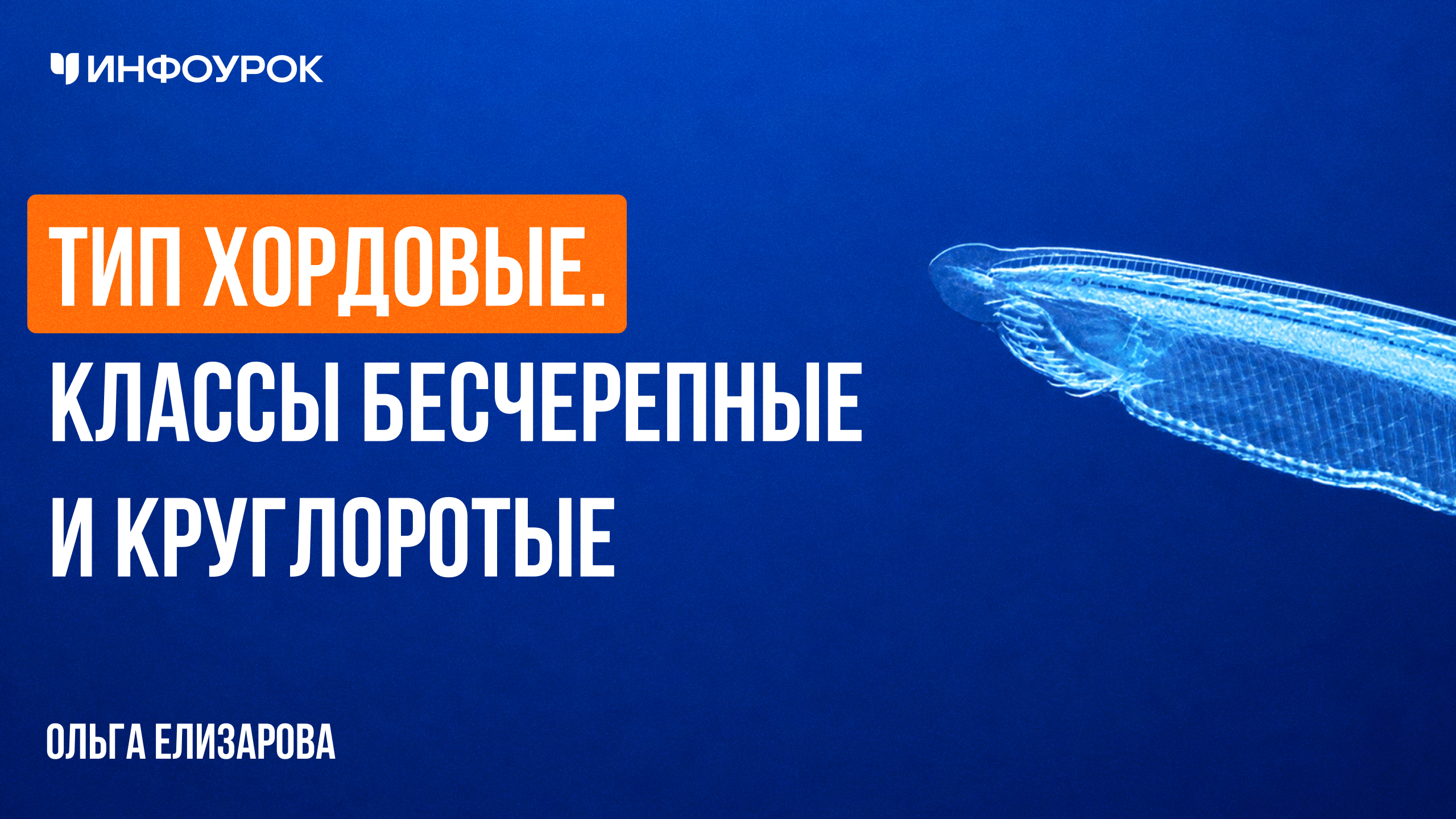 Обложка курса