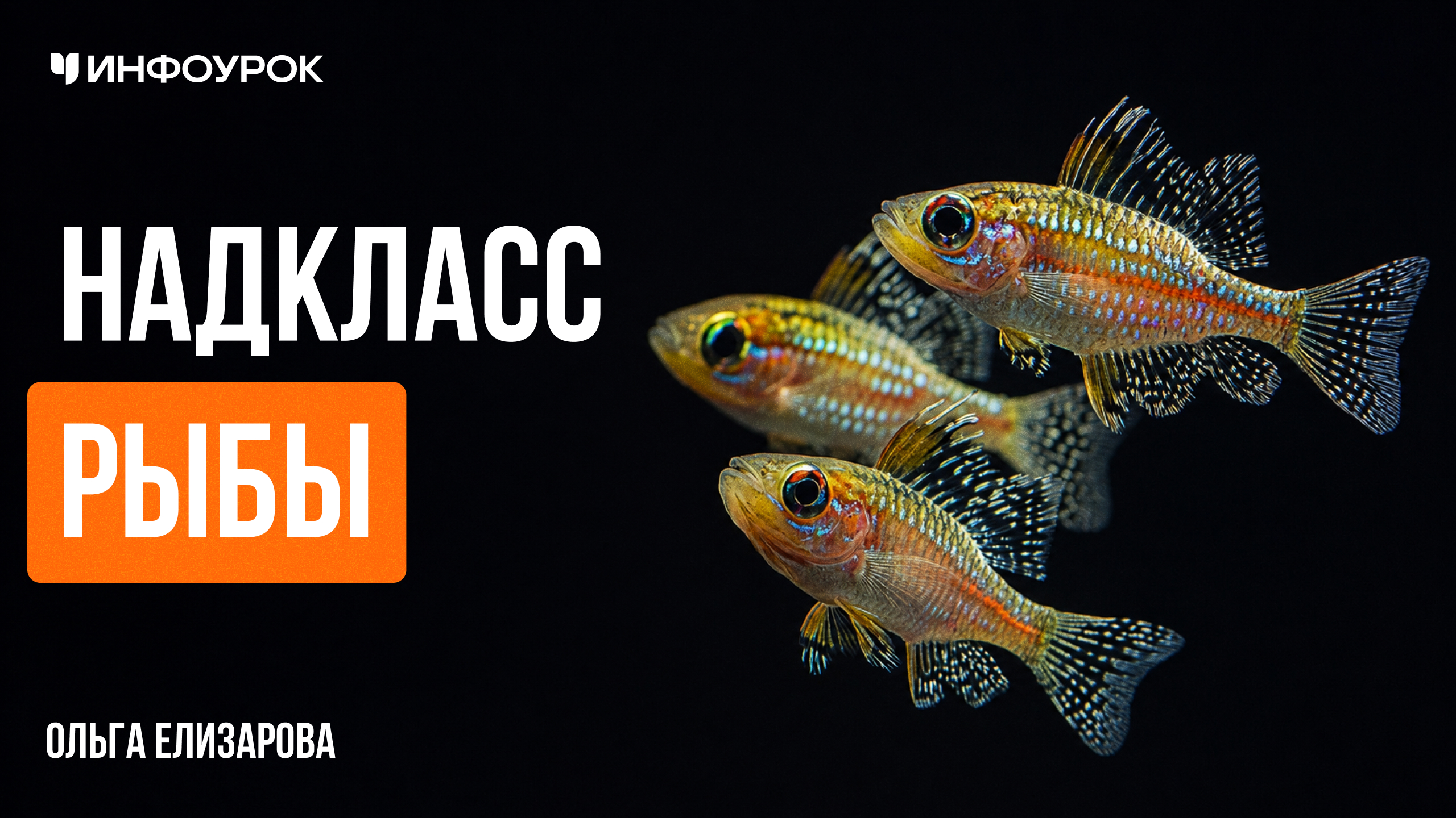 Обложка курса