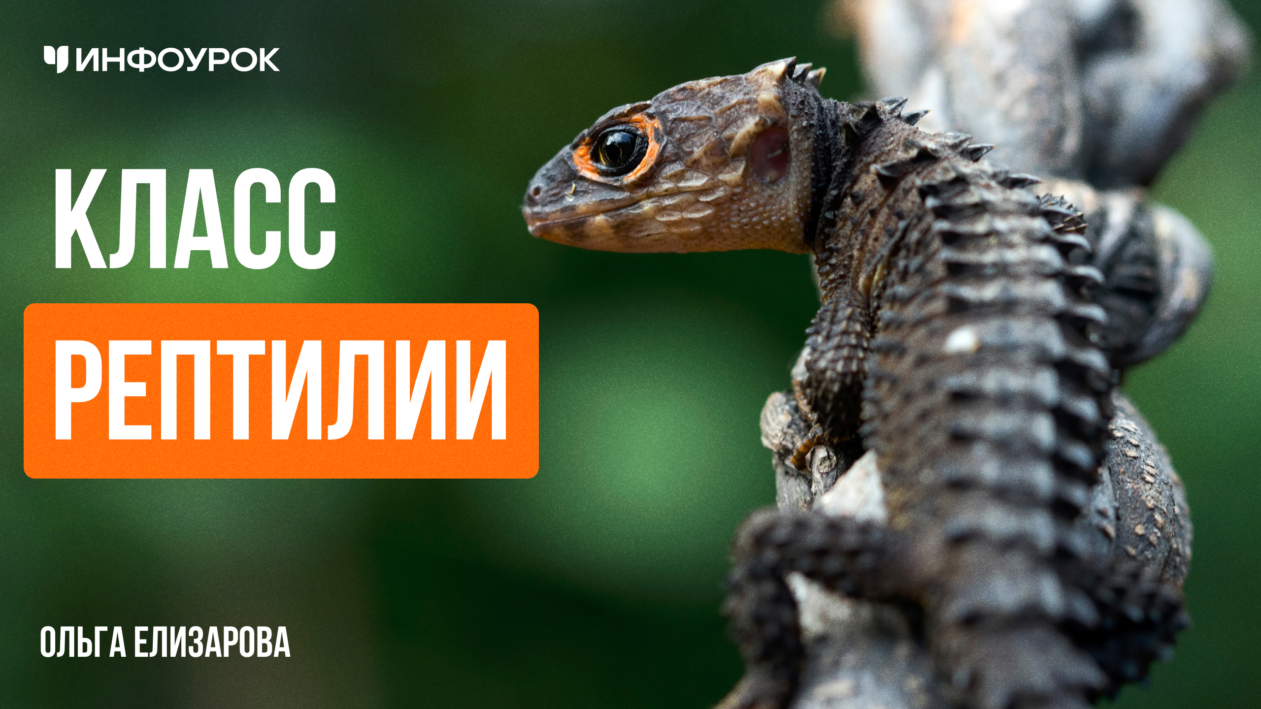 Обложка курса