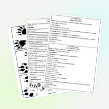 Квест-игра по станциям «В поисках сокровищ»