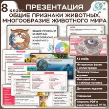 Презентация 