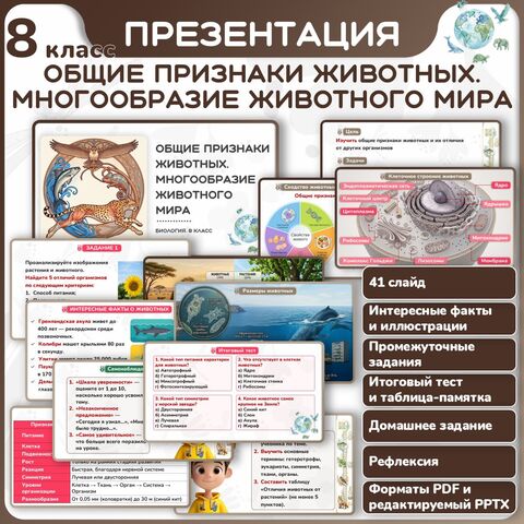 Презентация 