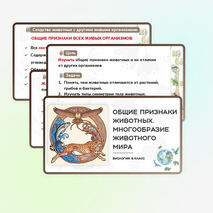 Презентация 