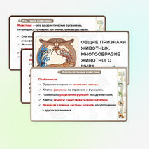 Презентация 