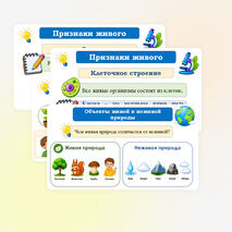 Презентация по биологии 