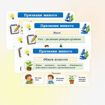 Презентация по биологии 