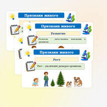 Презентация по биологии 