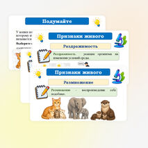 Презентация по биологии 