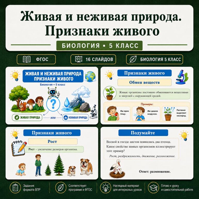 Презентация по биологии 