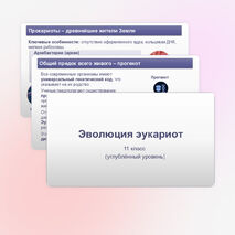 Презентация «Эволюция эукариот» 11 класс (углубленный уровень)