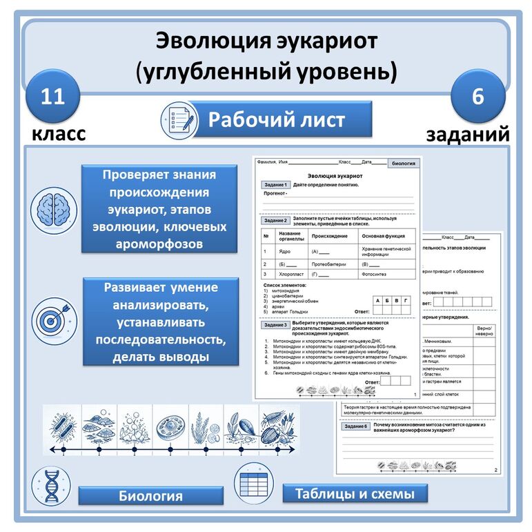 Рабочий лист «Эволюция эукариот» 11 класс (углубленный уровень)