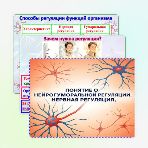 Презентация «Понятие о нейрогуморальной регуляции. Нервная регуляция. Нервные клетки. Рефлекс.». Биология 9 класс.