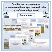 Презентация «Борьба за существование, естественный и искусственный отбор» 11 класс (углубленный уровень)