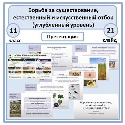 Презентация «Борьба за существование, естественный и искусственный отбор» 11 класс (углубленный уровень)