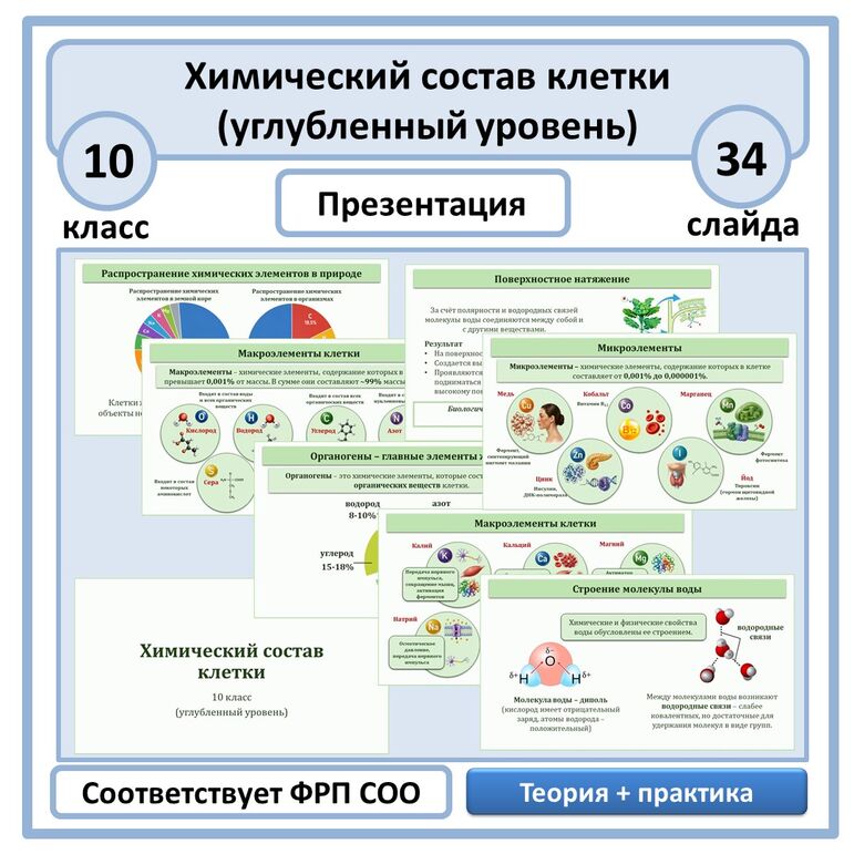 Презентация по биологии «Химический состав клетки» 10 класс (углубленный уровень)