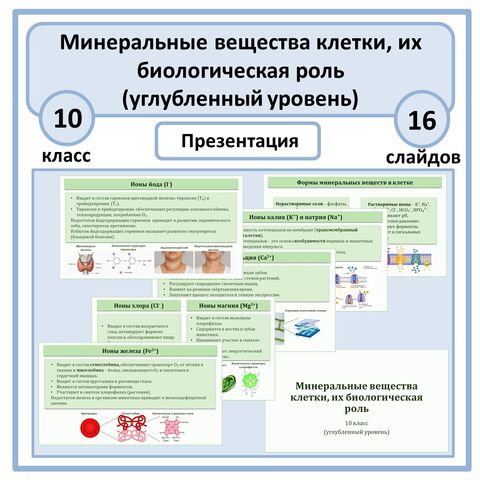 Презентация по биологии «Минеральные вещества клетки, их биологическая роль» 10 класс (углубленный уровень)