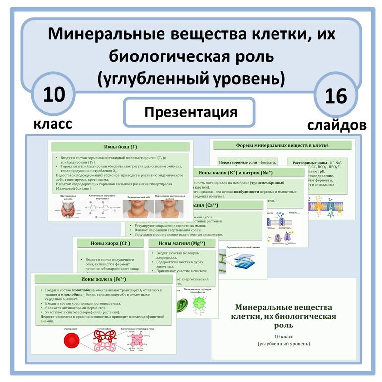Презентация по биологии «Минеральные вещества клетки, их биологическая роль» 10 класс (углубленный уровень)