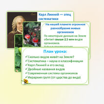 Презентация «Многообразие организмов, их классификация», 7 класс, биология, к учебнику под редакцией Пасечника