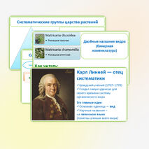 Презентация «Многообразие организмов, их классификация», 7 класс, биология, к учебнику под редакцией Пасечника