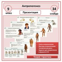 Презентация по биологии «Антропогенез» 9 класс