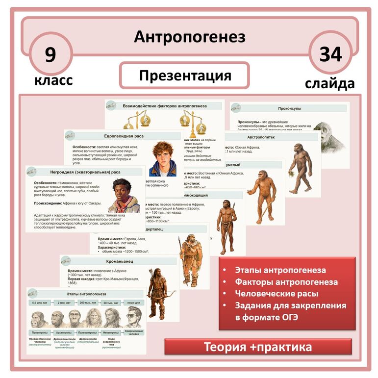 Презентация по биологии «Антропогенез» 9 класс