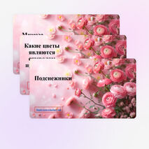 Викторина 