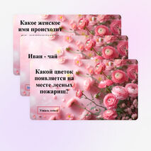 Викторина 